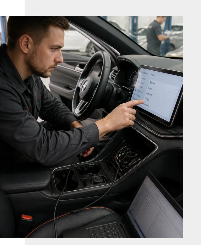 Профессиональная русификация BYD SONG Plus в Чехове
